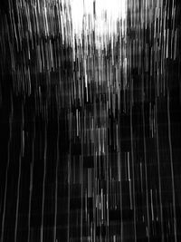 View of trees at night