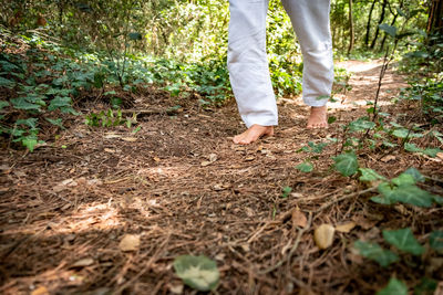 Low section of person standing on ground in forest