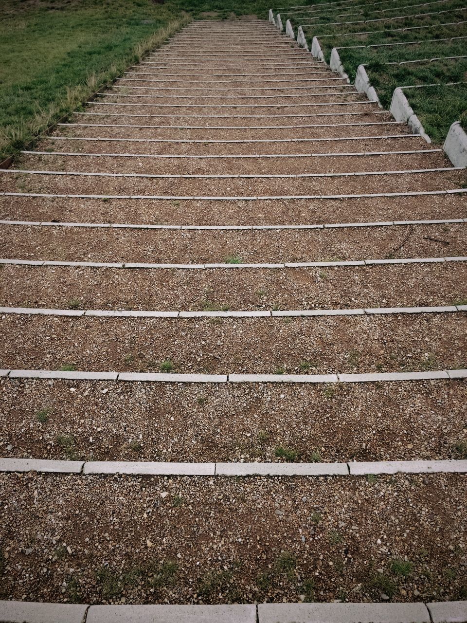 no people, growth, direction, the way forward, field, high angle view, day, pattern, plant, nature, land, landscape, agriculture, in a row, staircase, outdoors, rural scene, footpath, tranquility, diminishing perspective, plantation, parallel