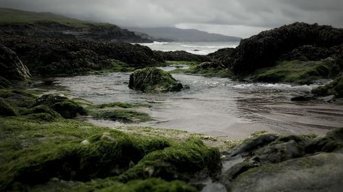 Scenic view of river flowing through rocks