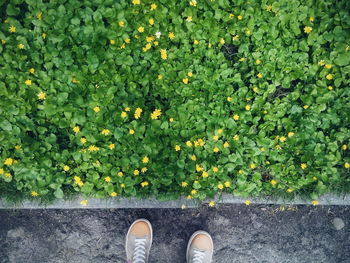 Low section of woman standing on ground