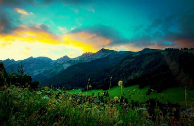 Scenic view of landscape against sky
