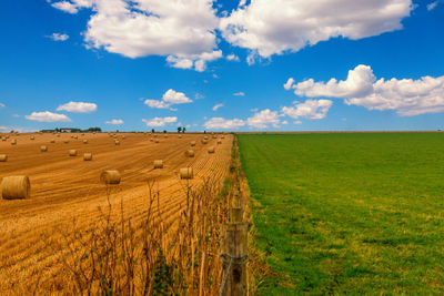 Scenic view of farm against sky