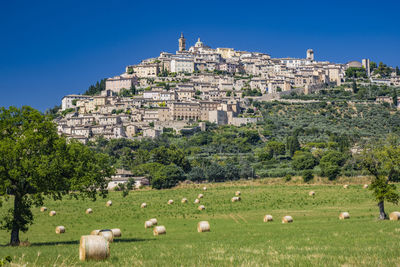 Sheep grazing on field against clear blue sky