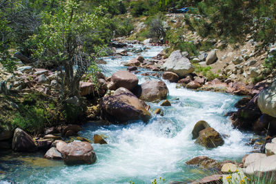 Scenic view of waterfall