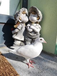 High angle view of birds on wall