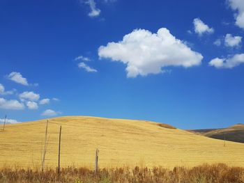 Scenic view of field against blue sky