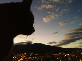 Close-up of silhouette cat against sky during sunset