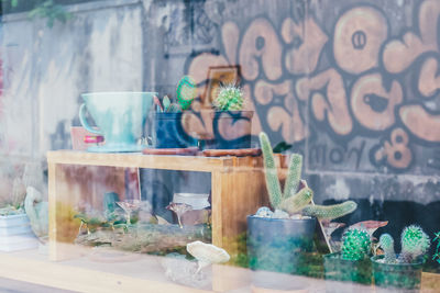Potted plants on table