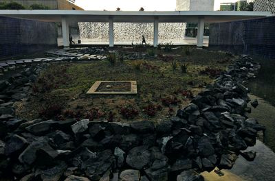 High angle view of steps and flower