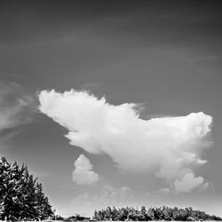 Low angle view of trees against cloudy sky