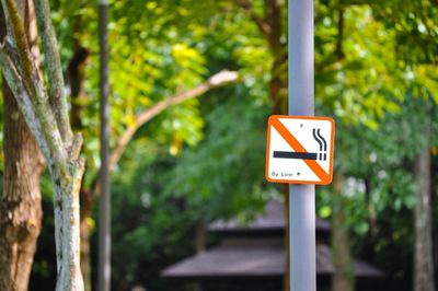 No smoking sign against trees on pole