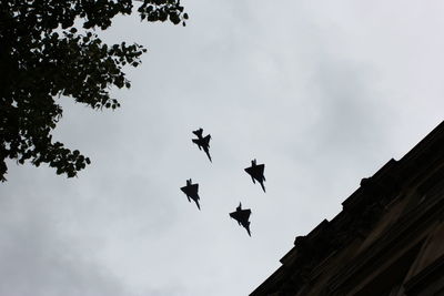 Low angle view of birds flying in sky