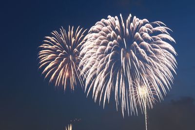 Low angle view of firework display at night