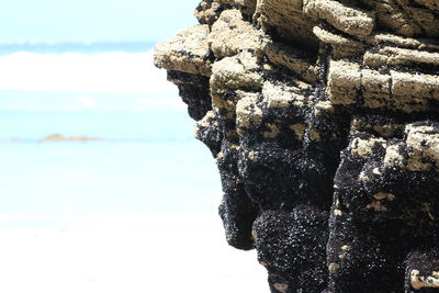 Close-up of rock formation on beach against sky