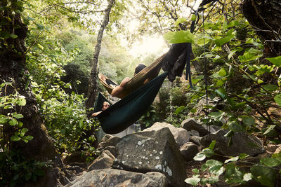 Man on rock in forest