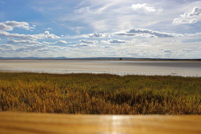 Scenic view of beach against sky