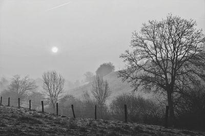 Bare trees on field against sky