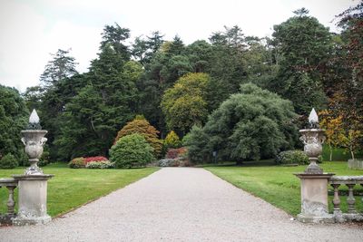 Statue by trees against sky