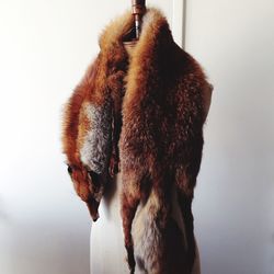View of fur fox shawl draped over mannequin