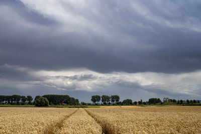 Scenic view of agricultural field against sky