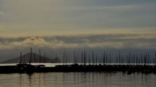 Boats in harbor