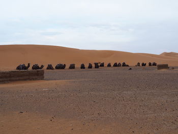 Scenic view of desert against sky