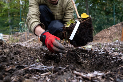 Rear view of man working on field