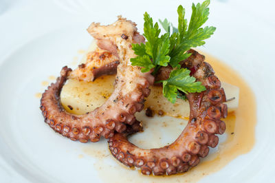 Close-up of meal served in plate