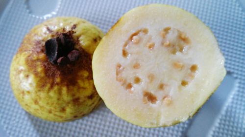 Close-up of served food