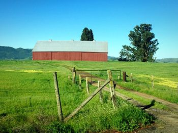 Scenic view of grassy field against clear sky