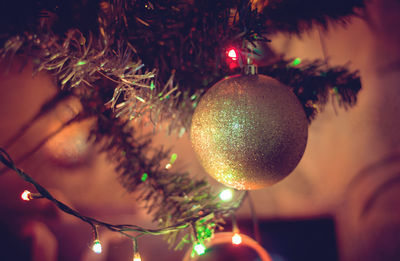 Close-up of christmas tree