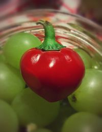 Close-up of tomatoes