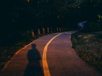 Shadow of tree on road at night