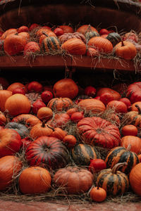 Thanksgiving holiday. halloween. lots of orange pumpkins in a hay. farmer's market. autumn harvest