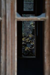 Close-up of window