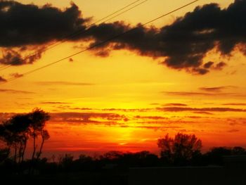 Silhouette trees against orange sky