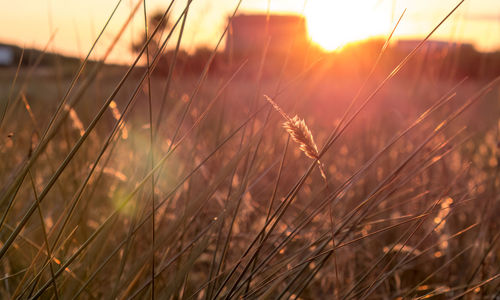 Scenic view of sunset