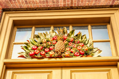 Fruits growing on window sill