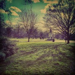 Trees on grassy field