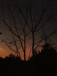 Silhouette trees against sky at sunset