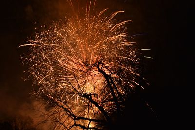 Low angle view of firework display at night