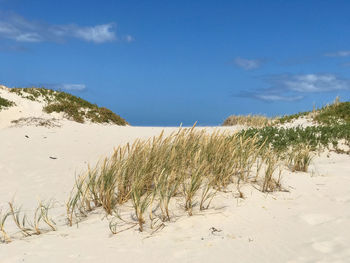 Scenic view of beach against blue sky