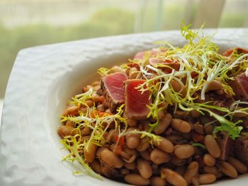 Close-up of meal served in plate