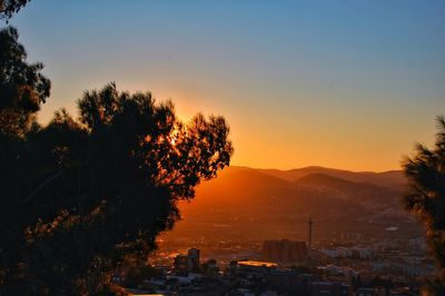 Silhouette of trees in city during sunset