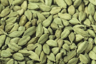 Detail shot of green cardamom pods