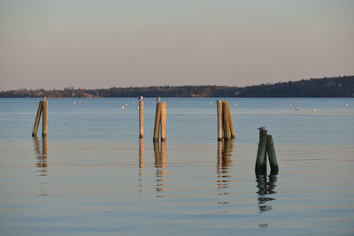 Wooden posts in lake against clear sky