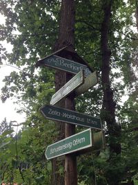 Information sign on tree trunk