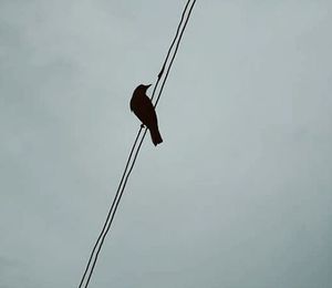 Low angle view of street light against sky