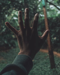 Close-up of human hand